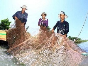 Berwisata di daerah dataran rendah sungai Mekong pada musim  air pasang - ảnh 4