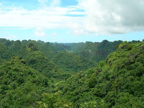 Kota Hai Phong-  Destinasi  yang atraktif - ảnh 4