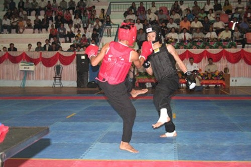 Malam silat  tradisional Vietnam di Swiss. - ảnh 1