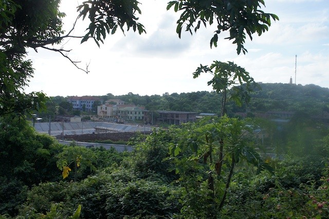 Pulau Con Co - pulau hijau  dengan daya hidup yang kuat di pos depan Tanah Air - ảnh 2