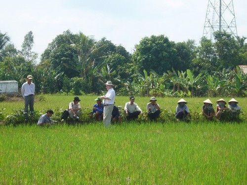 Memperingati ultah ke-33  Hari Pangan Dunia - ảnh 1