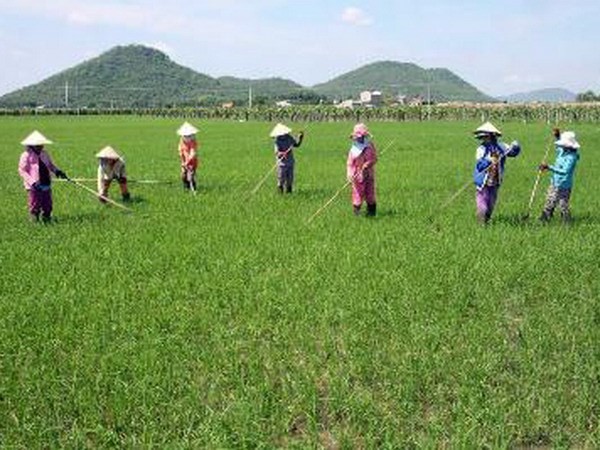 Beberapa  organisasi masyarakat madani  turut mengembangkan sosial-ekonomi dan mengentas dari kelaparan-kemiskinan - ảnh 1