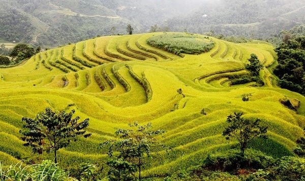 Pembukaan Pekan Kebudayaan, Pariwisata  pusaka hijau- tempat pertemuan antara manusia dan alam - ảnh 1