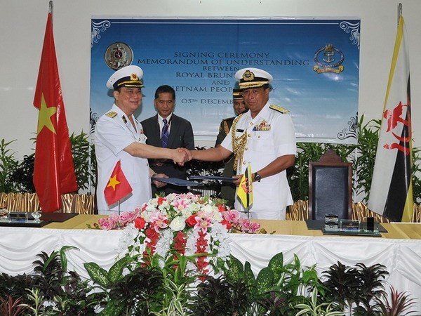 Angkatan Laut  Vietnam dan Brunei Darussalam menegakkan hubungan hot-line - ảnh 1