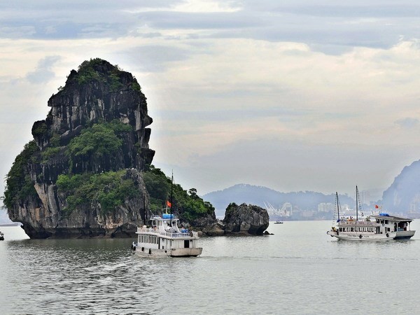 Teluk Halong – tempat wisata  yang hijau dan berkesinambungan di Vietnam. - ảnh 1