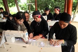 Federasi  Wanita Vietnam meningkatkan kualitas  aktivitas pada tahun 2014 - ảnh 1