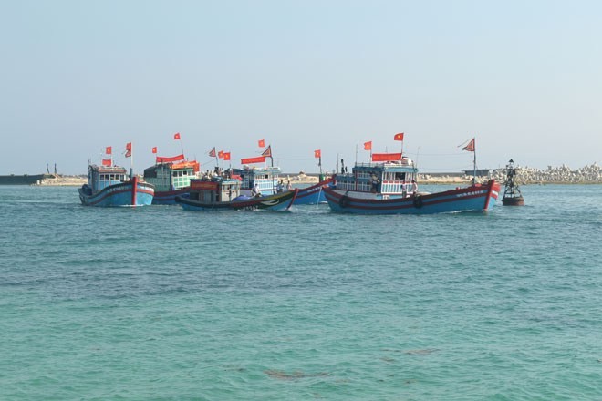 Serikat Sekerja  Perikanan An Hai mulai  melakukan penangkapan ikan pada saat awal tahun. - ảnh 1