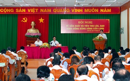 Konferensi  tentang produksi dan pemasaran  perberasan di daerah dataran rendah sungai Mekong. - ảnh 1