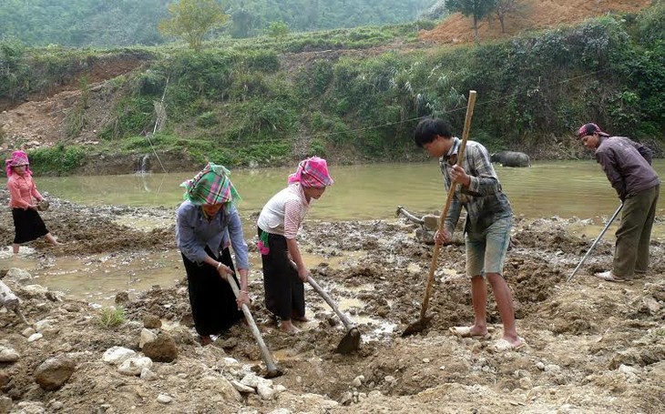 Terus mengawasi “ Pelaksanaan kebijakan dan Undang-Undang tentang pengurangan kemiskinan tahap 2005- - ảnh 1