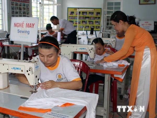  Membangun Asosiasi  dan melaksanakan gerakan: Demi korban agent oranye/dioxin Vietnam - ảnh 1