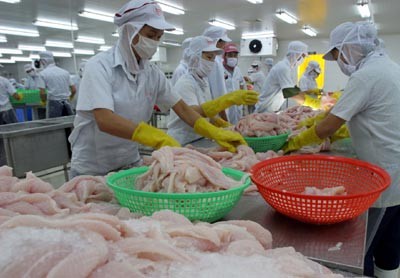 Amerika Serikat  menyesuaikan  tarif  impor  terhadap  ikan patin Vietnam. - ảnh 1