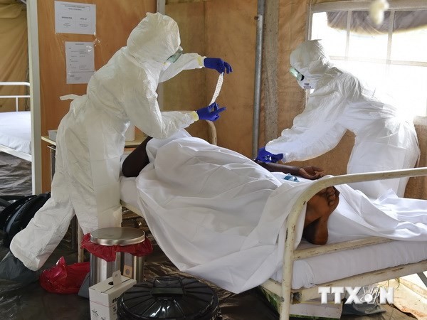 WHO membuat  rencana strategis untuk menghadapi wabah Ebola - ảnh 1