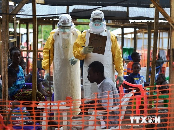 PBB  berkomitmen akan   memainkan peranan kuat dalam upaya memadamkan wabah Ebola - ảnh 1