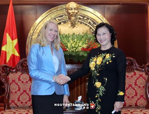 Delegasi Komisi Hubungan Luar Negeri dan Pertahanan  Parlemen Norwegia  berkunjung di Vietnam - ảnh 1