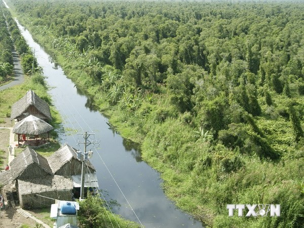 Menemukan banyak satwa langka di hutan U Minh Ha, provinsi Ca Mau - ảnh 1