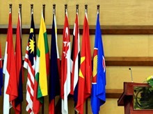 ASEAN memperkuat usaha mendorong sistim pengelolaan yang efektif. - ảnh 1