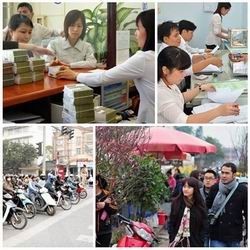 Pemerintah Vietnam memberlakukan Resolusi Sidang Periodik untuk November 2014 - ảnh 1