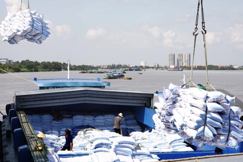 Pertanian perlu terus meningkatkan nilai dan hasil-guna  produksi yang dikaitkan dengan pembangunan pedesaan baru. - ảnh 1