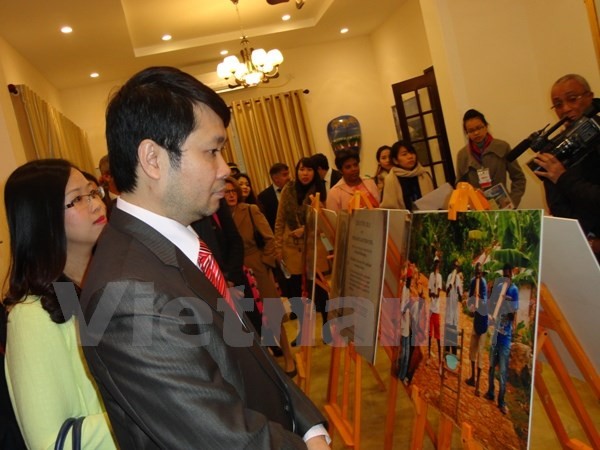 Pekan Budaya Haiiti di Vietnam. - ảnh 1