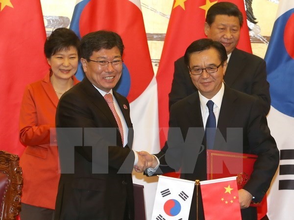 Republik Korea  dan Tiongkok memarap FTA bilateral - ảnh 1