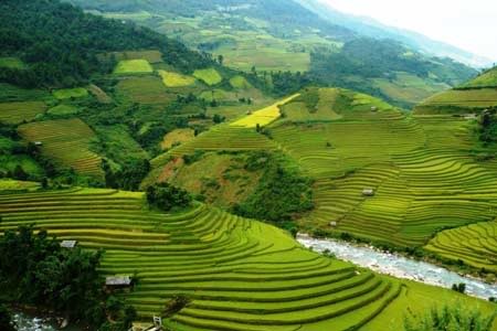 Muong Hoa-Lembah  yang eksotis di kota madya Sa Pa, provinsi Lao Ca - ảnh 1