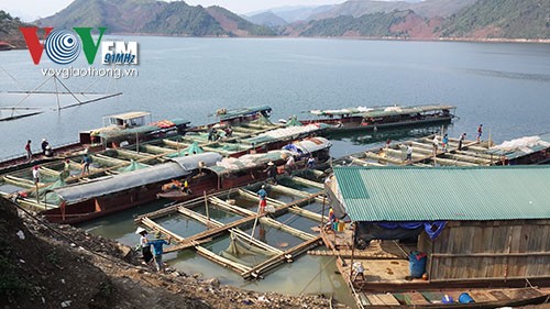 Ramai-ramai pada musim  udang di  sungai Da - ảnh 1