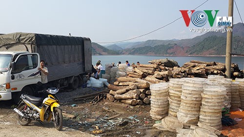 Ramai-ramai pada musim  udang di  sungai Da - ảnh 3