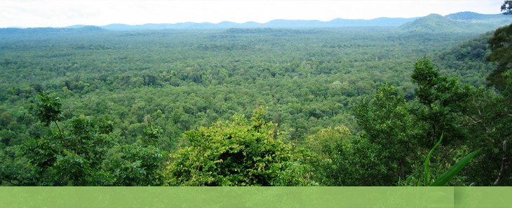 Menguak tabir  Taman Nasional  Yokdon, provinsi Dac Lac - ảnh 1