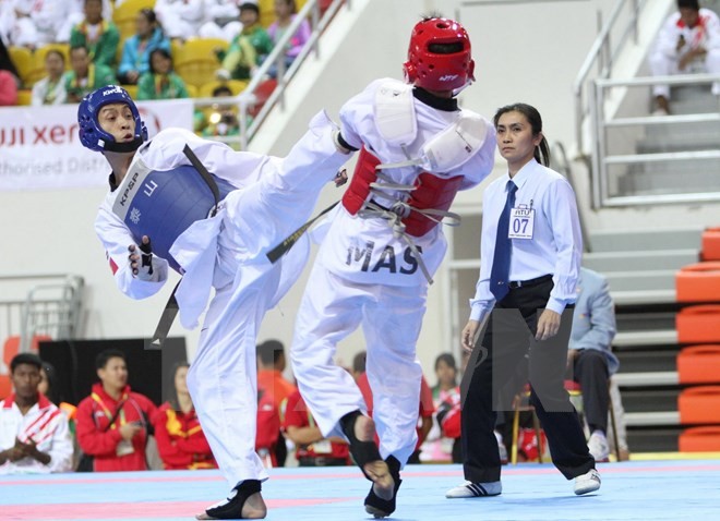 Pembukaan turnamen kejuruan Taekwondo dan pertandingan Taekwondo Muda Asia Tenggara ke-12 -tahun 2015 - ảnh 1