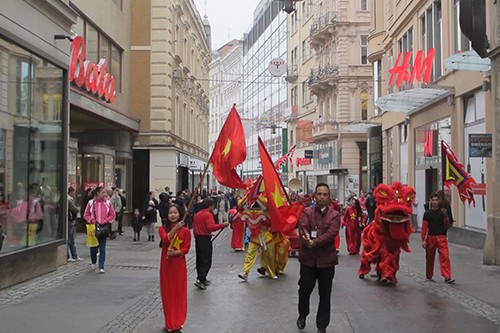  Pembukaan  Hari Kebudayaan Vietnm di Brno-Republik Czech - ảnh 1