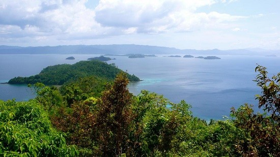 Pulau Palawan-tempat wisata yang interesan di Filipina - ảnh 5