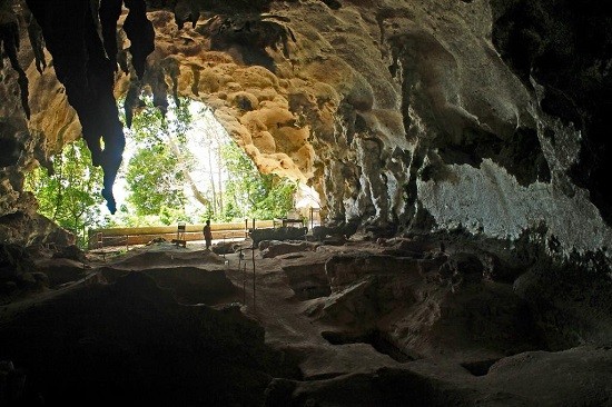 Pulau Palawan-tempat wisata yang interesan di Filipina - ảnh 6