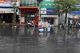 Orientasi mengembangkan daerah dataran rendah sungai Mekong untuk menghadapi perubahan iklim - ảnh 1