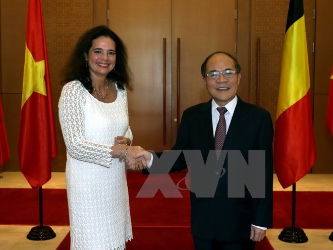 Ketua MN Vietnam, Nguyen Sinh Hung  mengadakan pembicaraan dengan Ketua Senat Belgia - ảnh 1