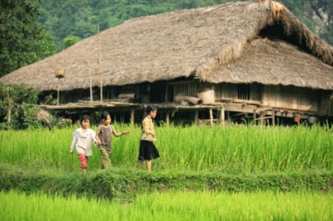 Dukuh Tha yang aman dan tenteram di provinsi Ha Giang . - ảnh 2