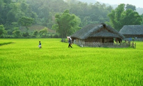 Dukuh Tha yang aman dan tenteram di provinsi Ha Giang . - ảnh 3