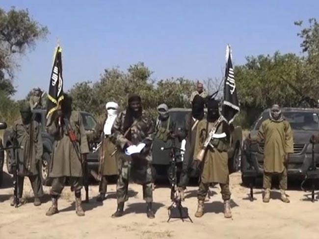 Amerika Serikat memberikan hukuman terhadap dua pemimpin Boko Haram - ảnh 1