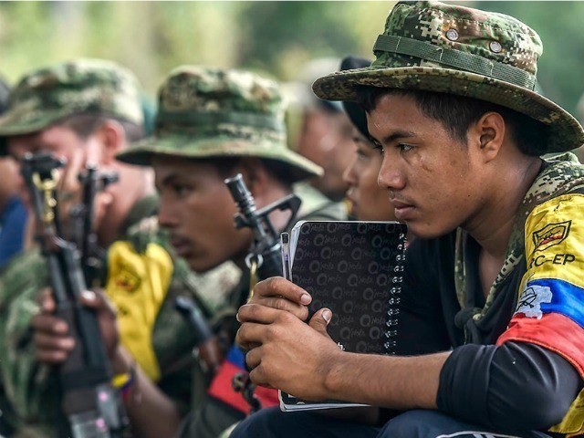 Pemerintah Kolombia dan FARC mencapai permufakatan perdamaian yang bersejarah - ảnh 1