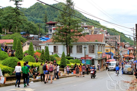 Sapa memperhebat  produk wisata yang khas dan berkulitas tinggi - ảnh 1