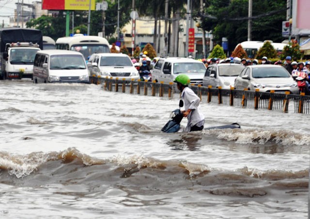 Bank Dunia di Vietnam menaruh perhatian khusus pada manajemen Negara dan penanggulangan kegenangan di kota Ho Chi Minh - ảnh 1