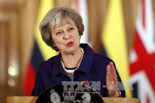 PM Inggeris berseru kepada Parlemen supaya menghormati proses Brexit - ảnh 1