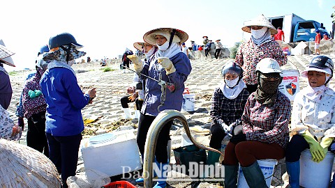 Pagi hari di pasar ikan Giao Hai, provinsi Nam Dinh - ảnh 1