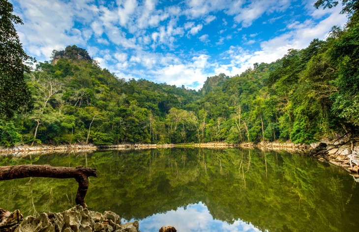 Danau Ba Be: Danau air tawar  yang paling besar  di lereng  gunung  di Vietnam - ảnh 6