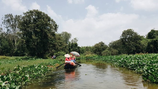 Ritme hidup di kawasan Dong Thap Muoi pada musim air sungai pasang - ảnh 1