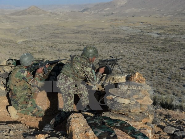 Serangan terhadap polisi di Afghanistan Selatan, menimbulkan korban besar - ảnh 1