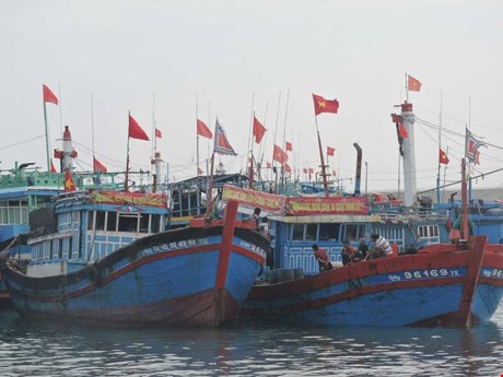 Bernyanyi lagu nasional  sebelum  pergi ke lapangan ikan  tradisional Hoang Sa - ảnh 1