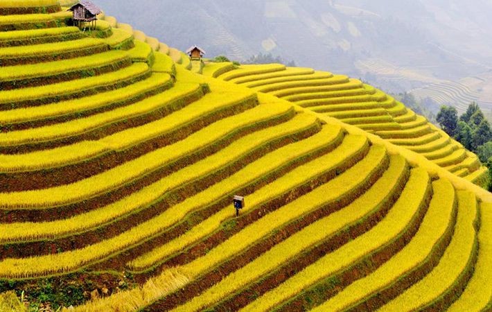 Pesawahan terasering di kabupaten Mu Cang Chai-Keindahan  megah di daerah  pegunungan Tay Bac - ảnh 1