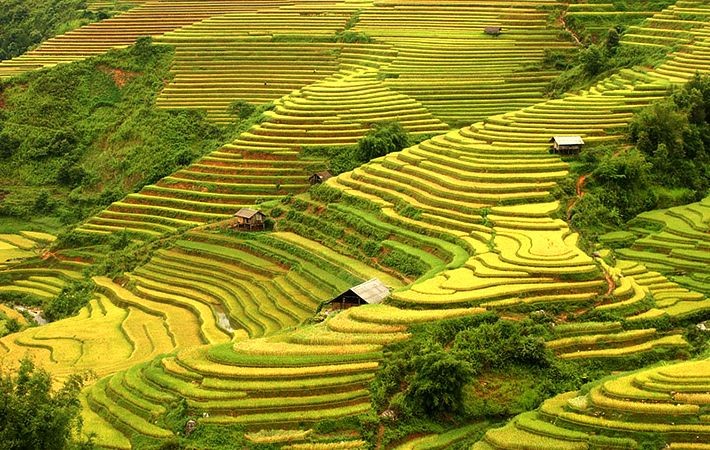 Pesawahan terasering di kabupaten Mu Cang Chai-Keindahan  megah di daerah  pegunungan Tay Bac - ảnh 3