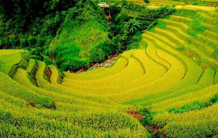 Pesawahan terasering di kabupaten Mu Cang Chai-Keindahan  megah di daerah  pegunungan Tay Bac - ảnh 4