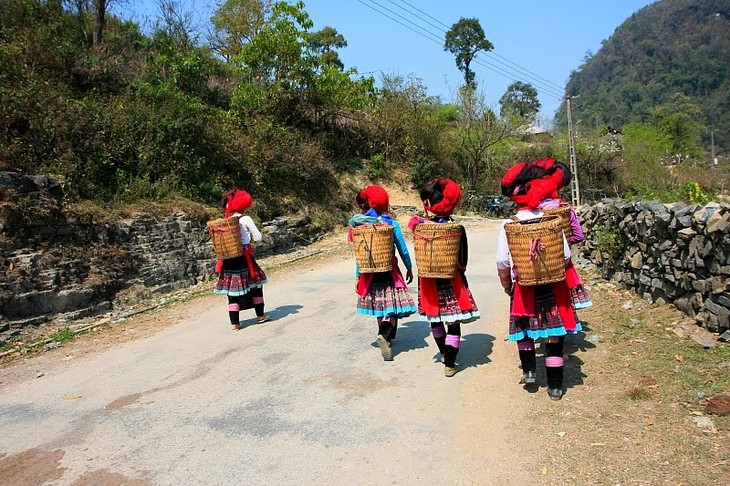 Daerah dataran tinggi Sin Ho: Keindahan yang masih liar di daerah pegunungan dan hutan Tay Bac - ảnh 4